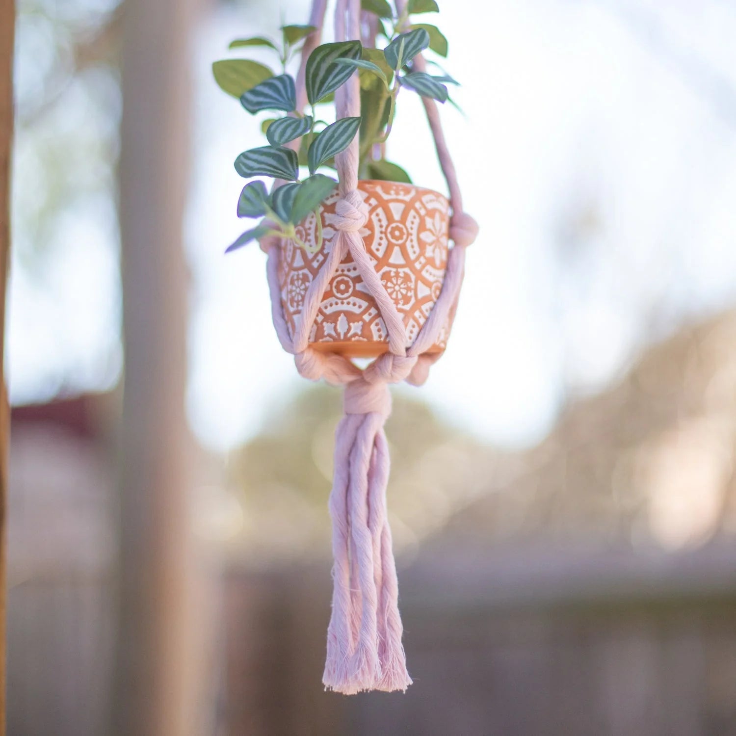 Plant Hanger - Lavendel