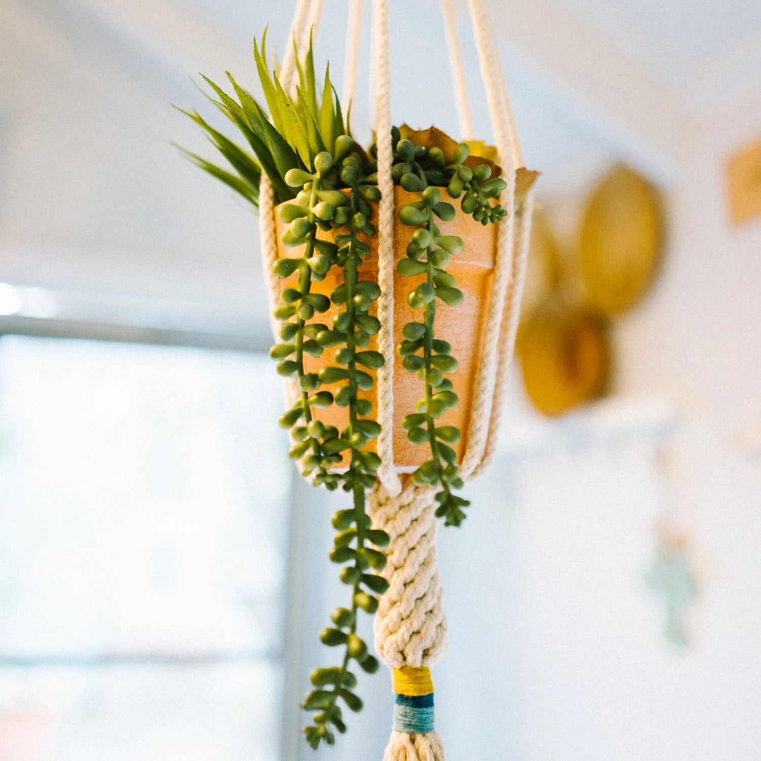 Plant Hanger Mustard